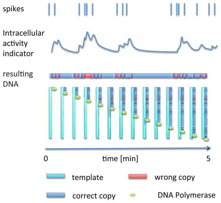 Molecular Tickertape