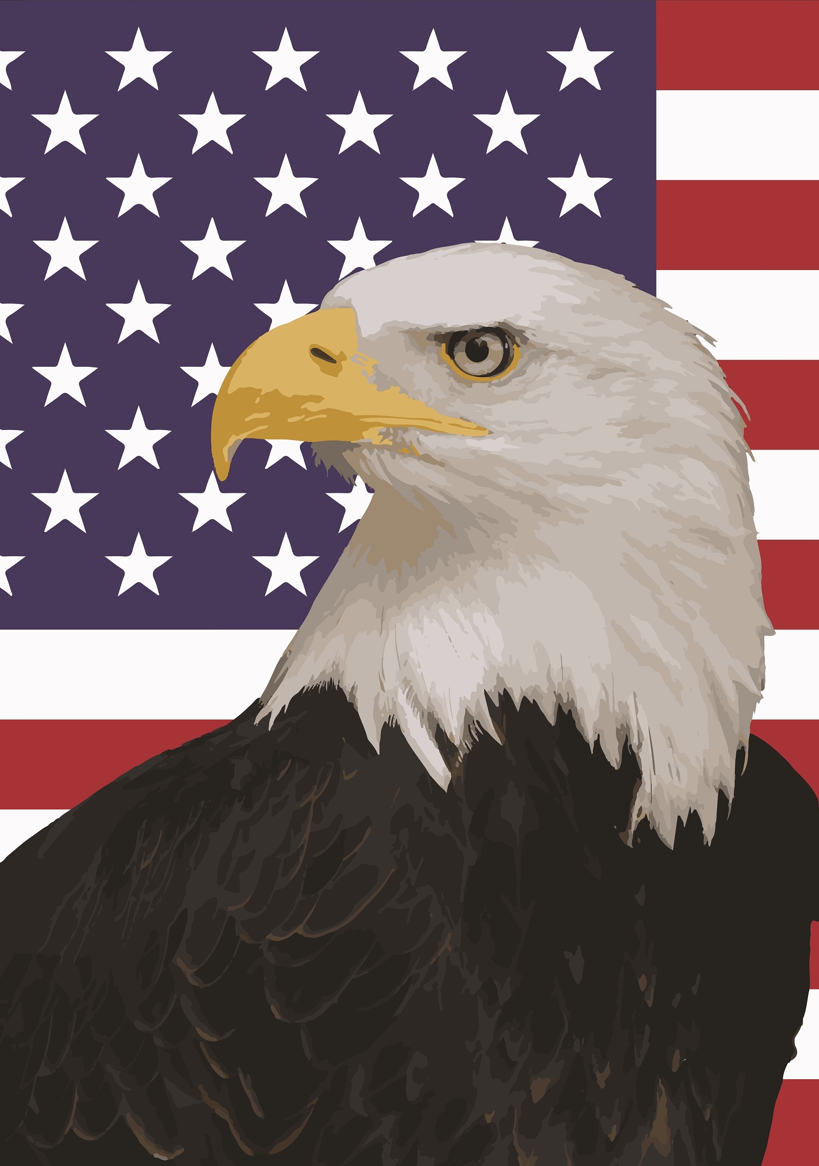 Звук орла америка. Белоголовый Орлан США. Символ Америки белоголовый Орлан. Белоголовый Орел символ США. Белоголовый Орлан на флаге США.